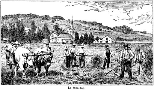 fenaison