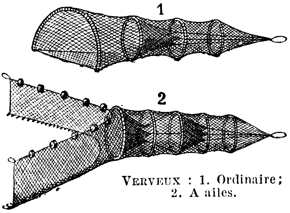 verveux