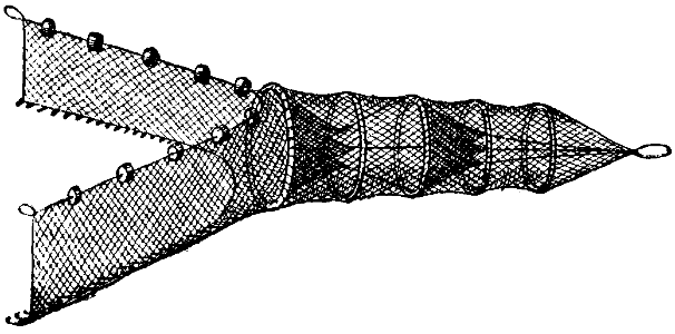 verveux-3