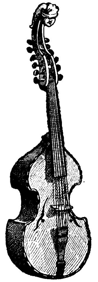 viole-1