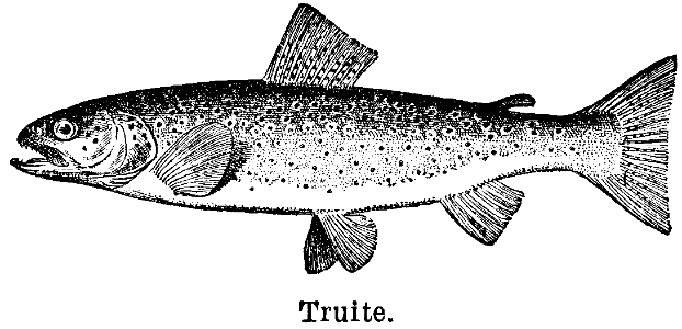 truite
