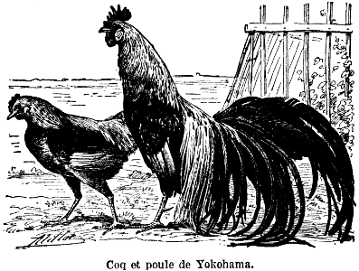 Yokohama