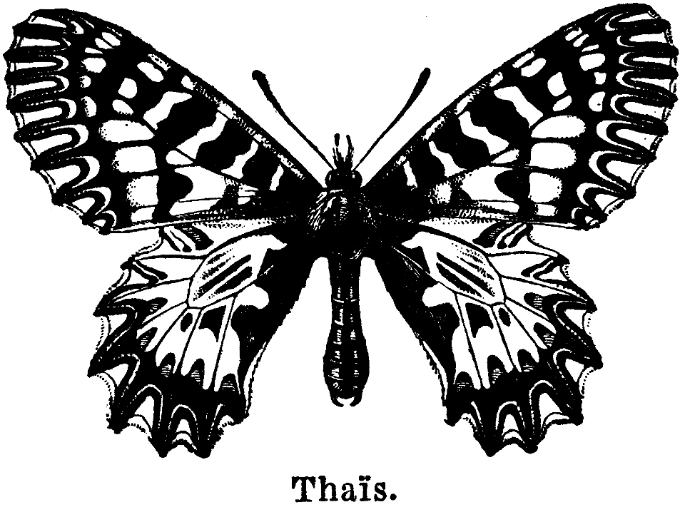 thaïs