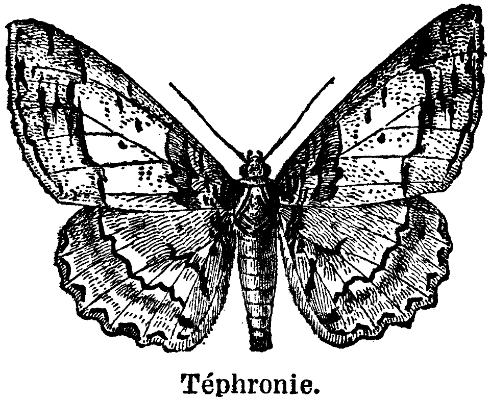 téphronie