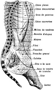 moitie-boeuf