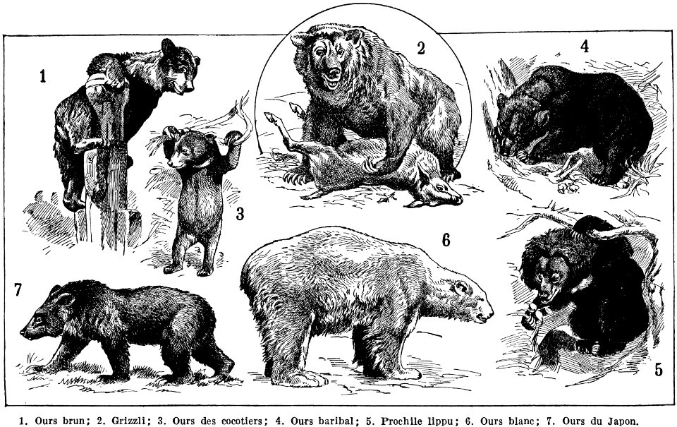 ours