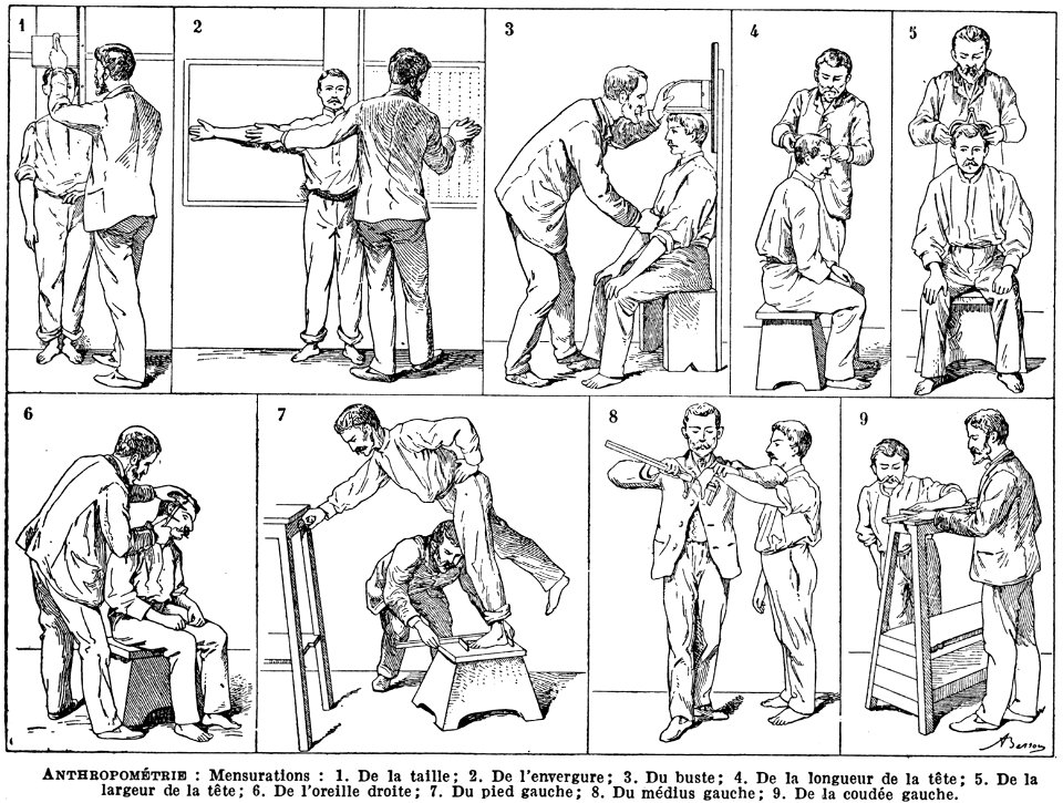 anthropometrie