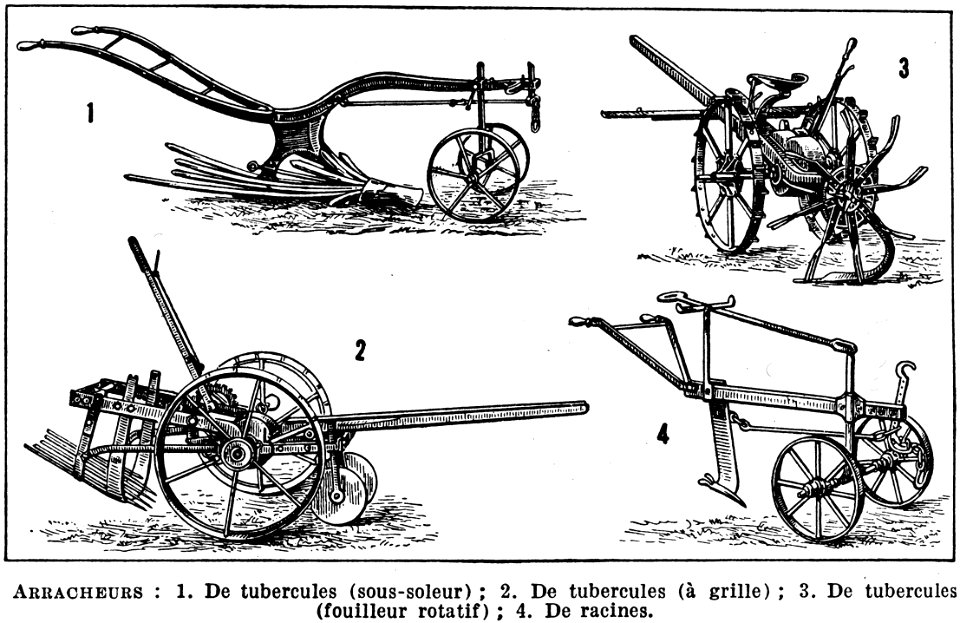 arracheurs