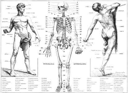 homme-2