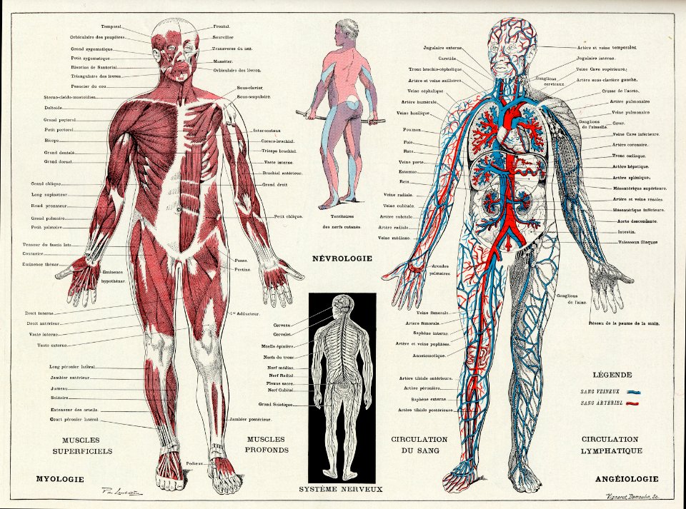homme-1