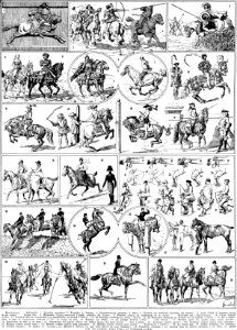 équitation