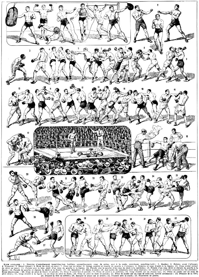 boxe
