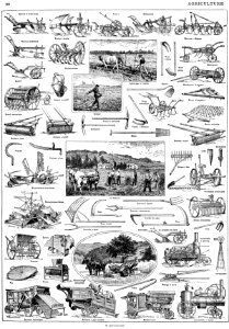 agriculture
