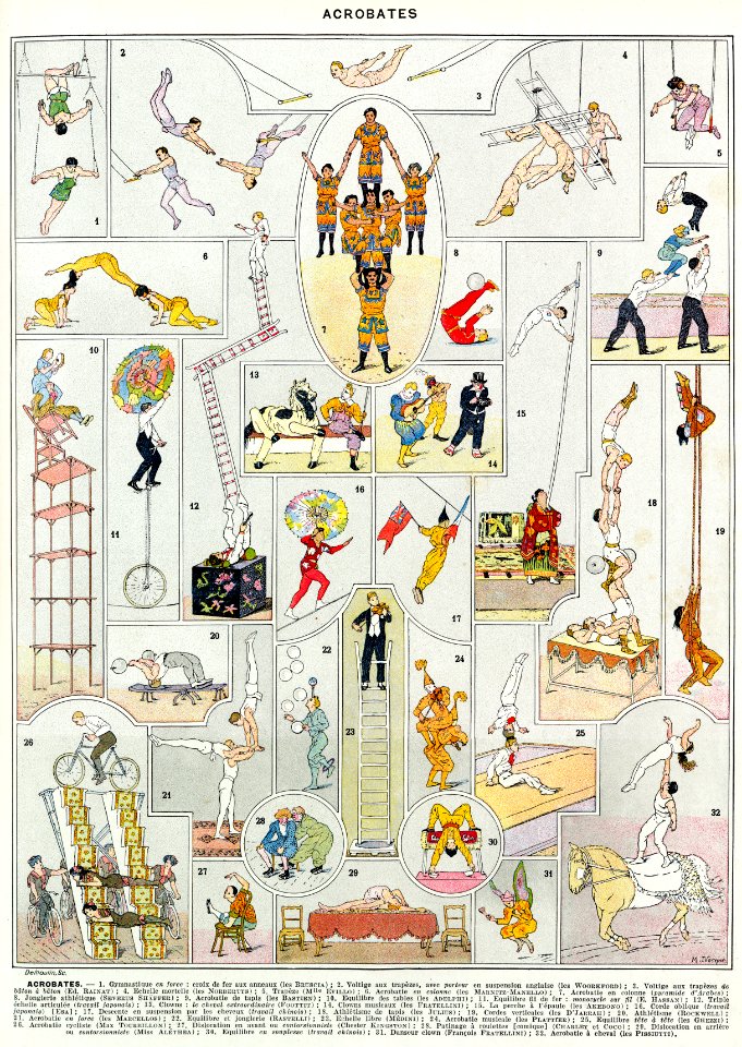 acrobates-couleurs