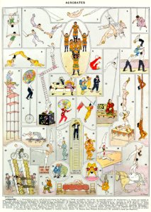 acrobates-couleurs