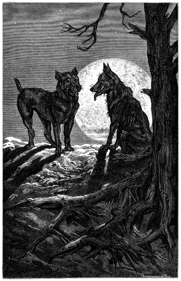 wolf-mastiff-1600