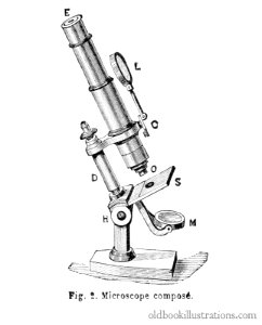 microscope-1600. Free illustration for personal and commercial use.