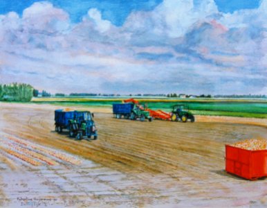 Onion harvest in Holland - watercolour 28x40cm 1992. Free illustration for personal and commercial use.