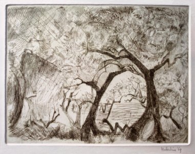 Olivegrove - etching 24x30cm 1969. Free illustration for personal and commercial use.