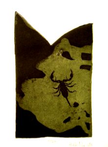 Scorpion - photo-etching 14x20cm 1981, edition of 20. Free illustration for personal and commercial use.