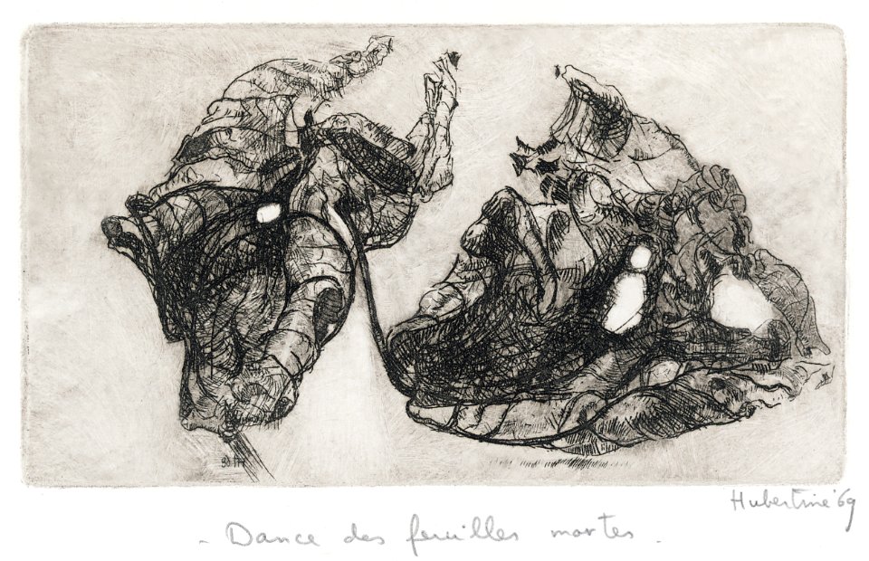 Dry plane leaves - etching 11,5x21cm 1969