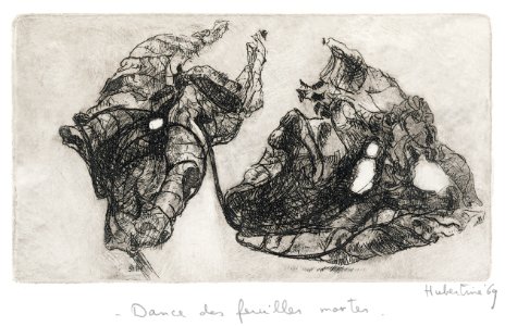 Dry plane leaves - etching 11,5x21cm 1969. Free illustration for personal and commercial use.
