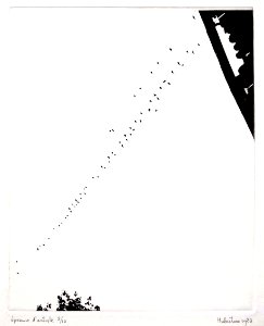 Departure of the swallows - photo-etching 25x31cm in 1983. Free illustration for personal and commercial use.