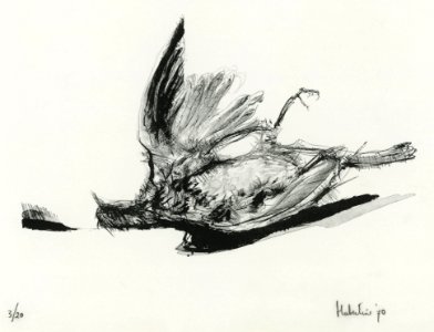 Bird beaten down in flight - lithography on stone 42x53cm …. Free illustration for personal and commercial use.