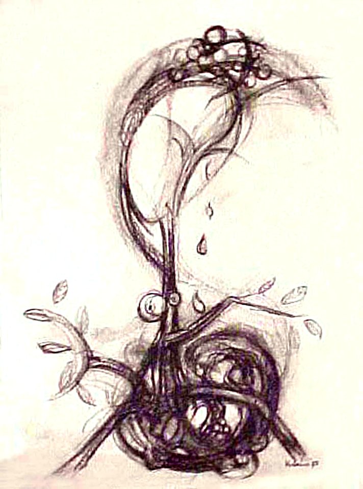 Quante lacrime . . . drawing with charcoal on paper 21x31c…