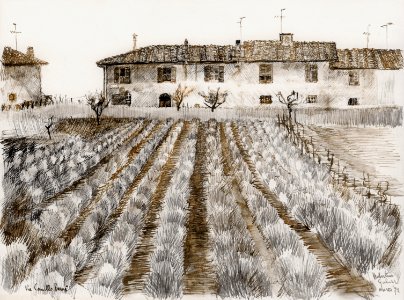 Galuzzo (Florence) - pen&ink drawing 22x30cm 1974