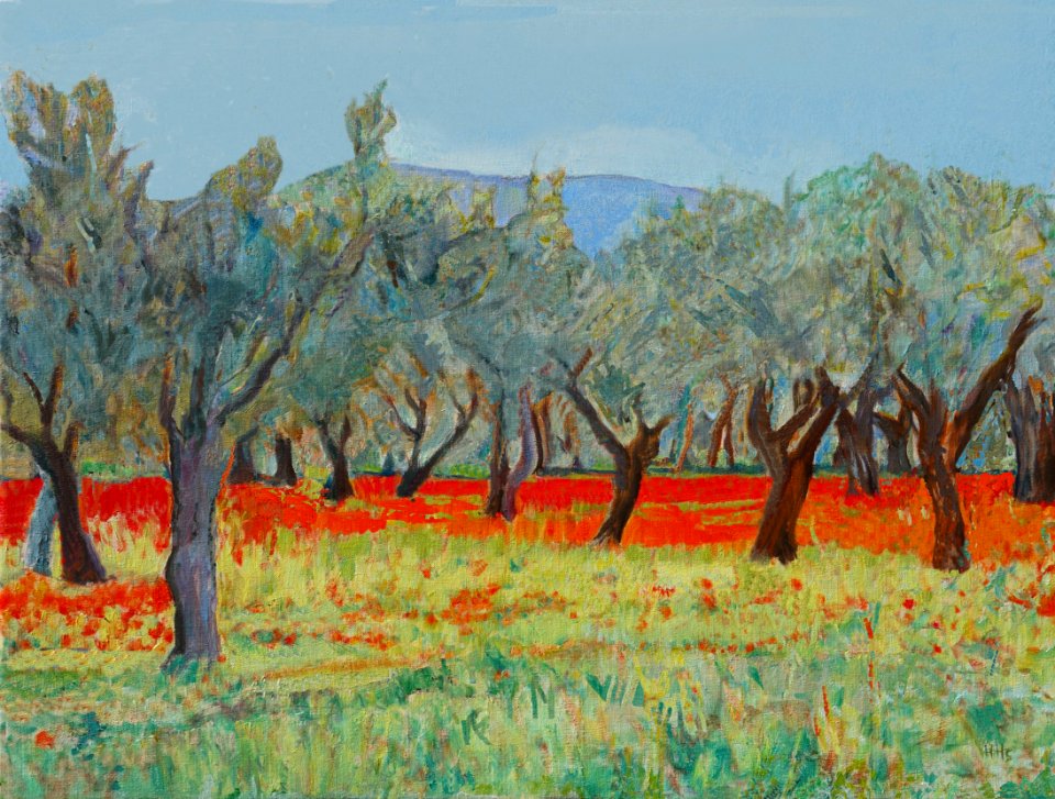 Olive yard with poppy flowers - oil painting on canvas 54x…