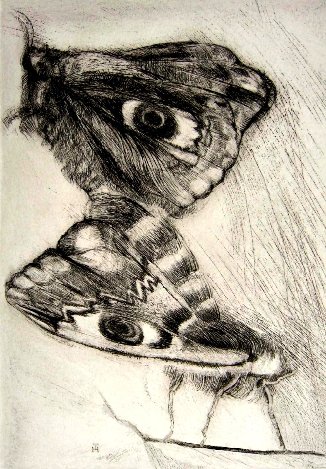 Nightmoth's mating - etching 21x25cm 1971. Free illustration for personal and commercial use.