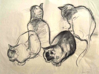 Cats - charcoal drawing 50x65cm 1957