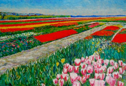 Tulip fields - oil painting on canvas 39x57cm 2011