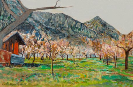 An apricot orchard was flowering near Martigny in Wallis, …. Free illustration for personal and commercial use.