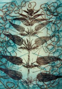 Nettle plant and needles - small detail of a photo-etching…. Free illustration for personal and commercial use.