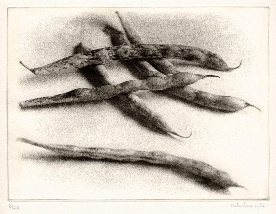 Big Italian spotted beans - macro-photo and photo etching …