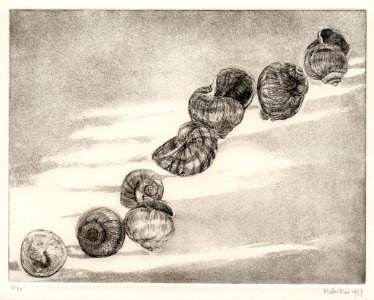 Empty snail houses - etching+aquatint 24x31cm 1977. Free illustration for personal and commercial use.