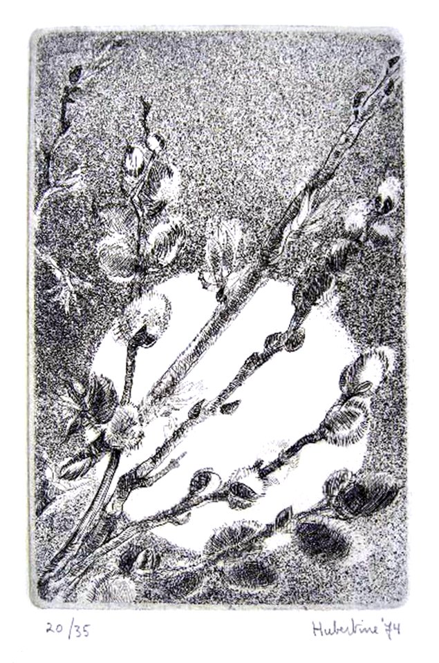 Silver moon - etching and softground 12x15cm 1974. Free illustration for personal and commercial use.