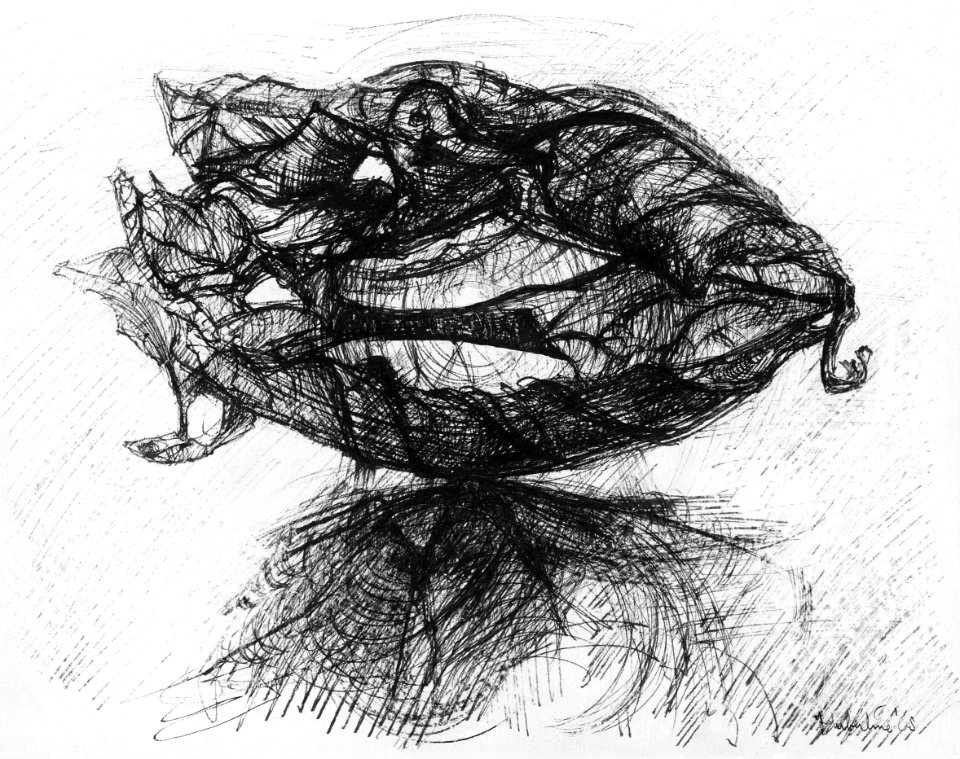 'Torno alla terra' - pen&ink drawing 22x30cm 1968