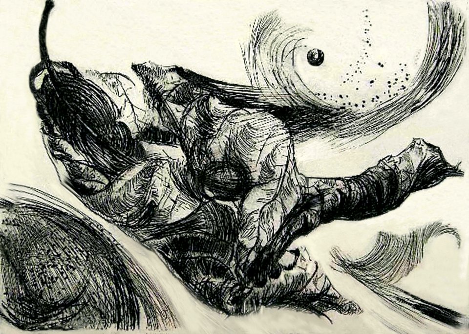 Dry plane leaf - etching 20x30cm 1968