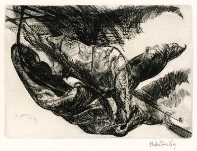 Dry plane leaves intertwined - etching 1969 - erotic after…. Free illustration for personal and commercial use.