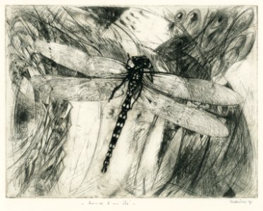 Dragonfly performing a 'Summerdance' - etching 25x30cm 197…
