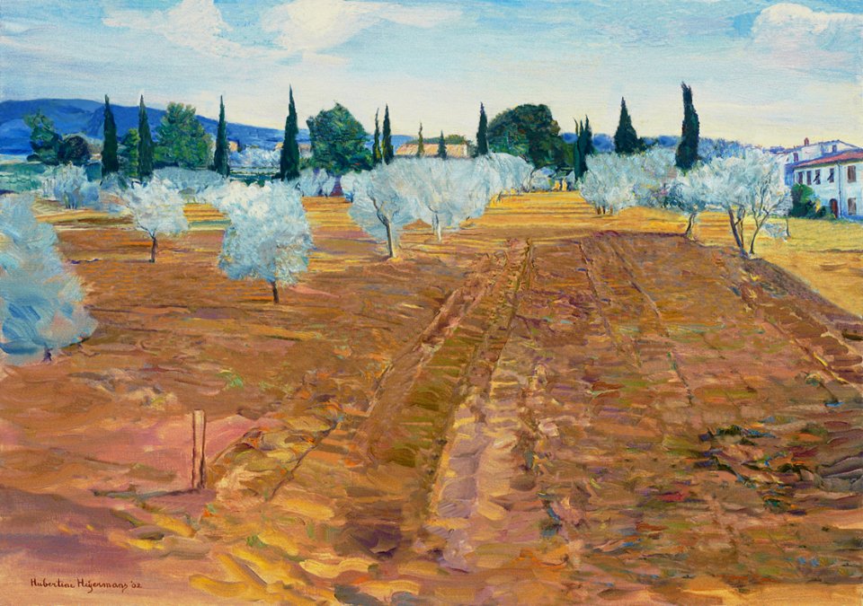 Olive grove near Borgo San Lorenzo and Florence, Italy - o…