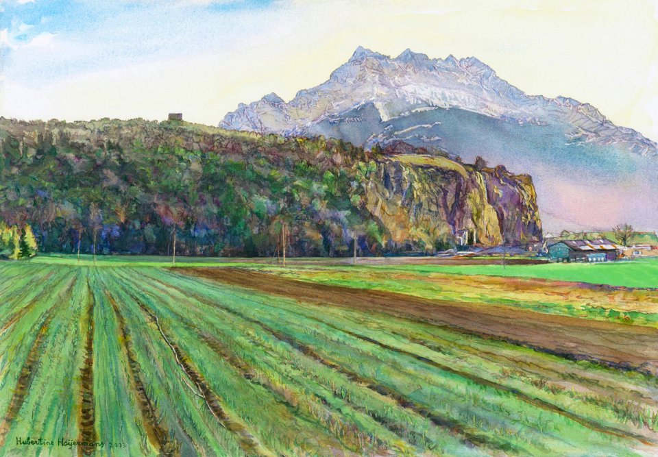 The plain around a big rock in the Rhône river valley - wa…