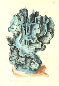 v16 666 Blue Millepore