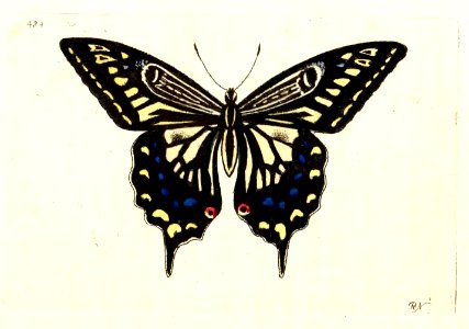 v12 484 Xuthus