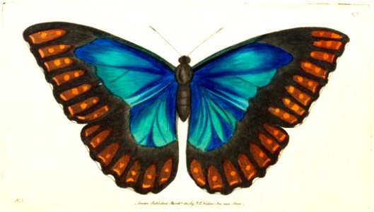 v12 472 Perseus