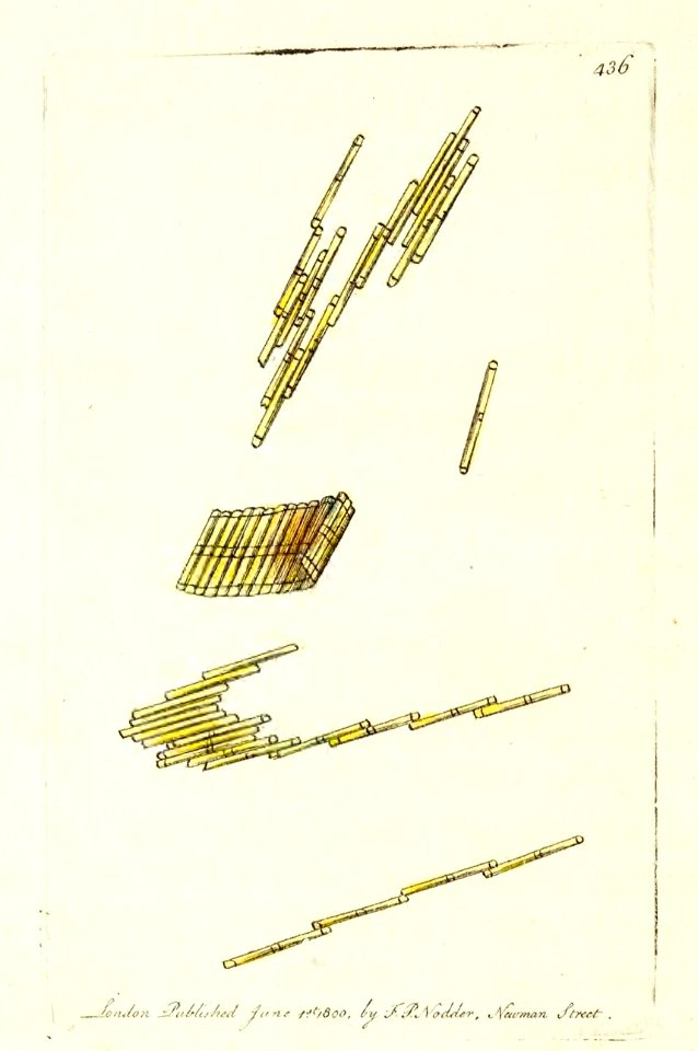 v11 436 Pipe Vibrio