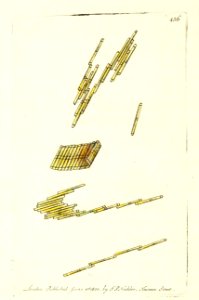 v11 436 Pipe Vibrio